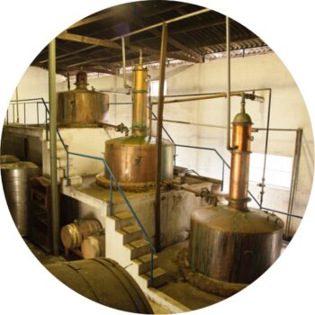 Alambique Alegria, de cobre - Magnifica