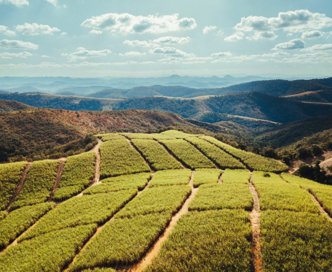 DRONE_MAGNIFICA_00021 (1)